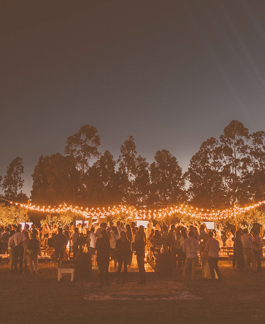 Launch of Los Olivos de los Horneros 