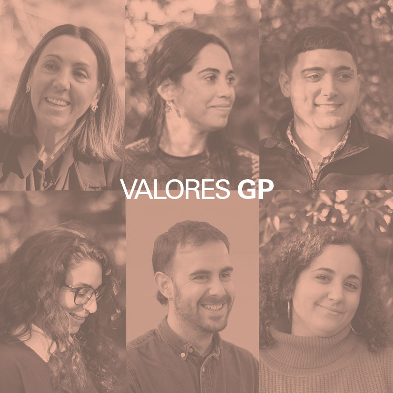 Cultura y valores: construyendo juntos un gran equipo
