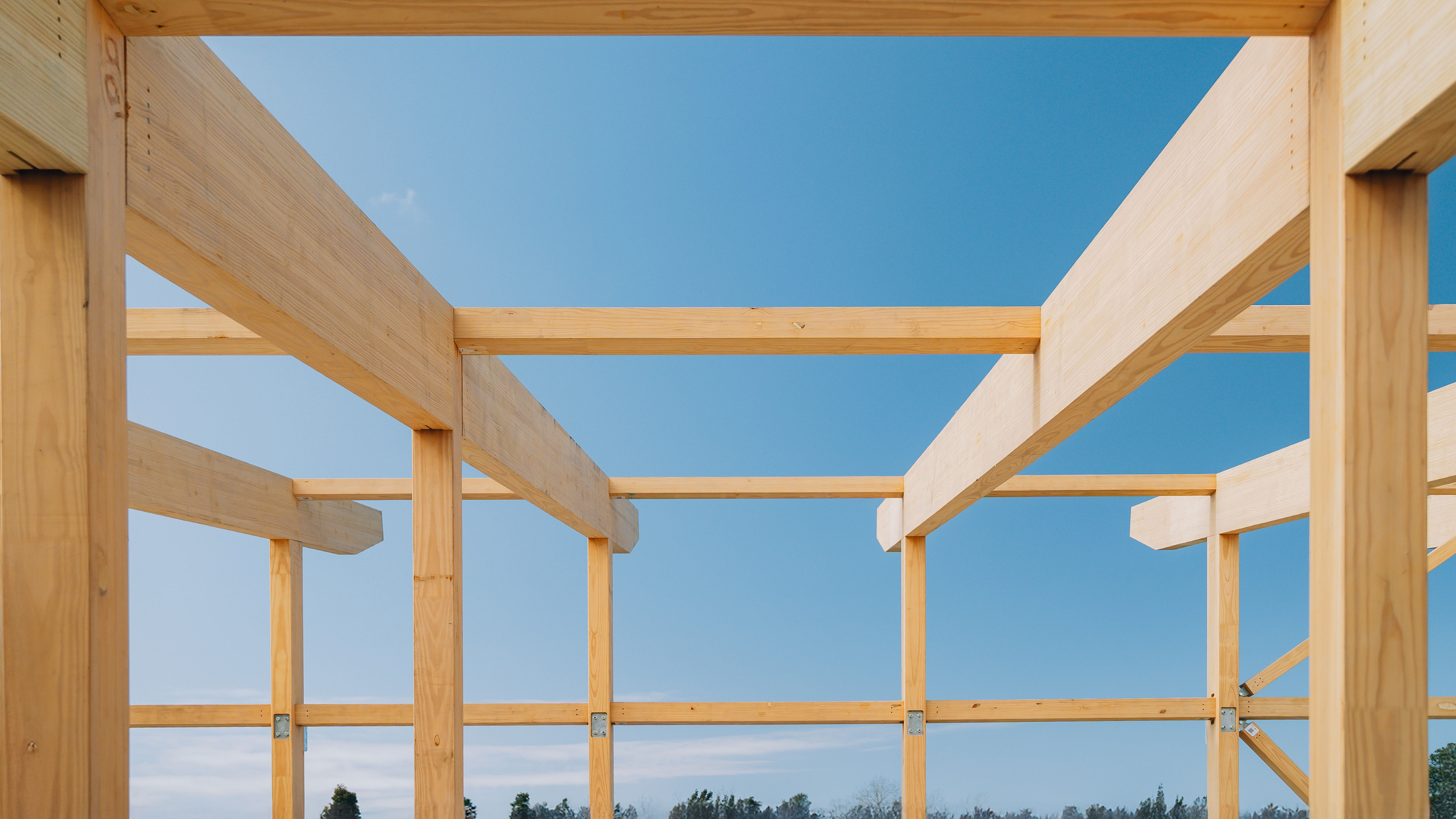 Buildable Future: Innovation in Construction Materials  - Featured image