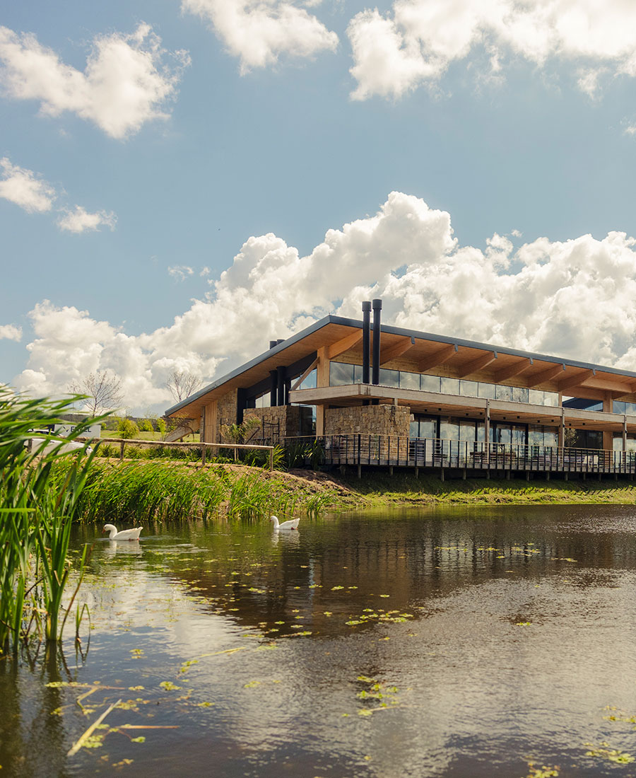 Los Olivos de los Horneros | Uruguay