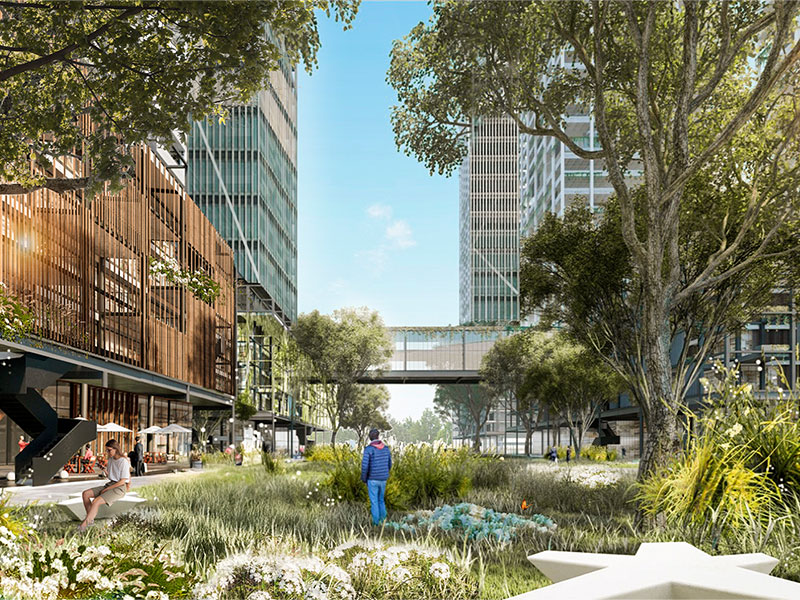Sponge Cities: Urban Renaturalization and Climate Resilience Sponge Cities: Urban Renaturalization and Climate Resilience