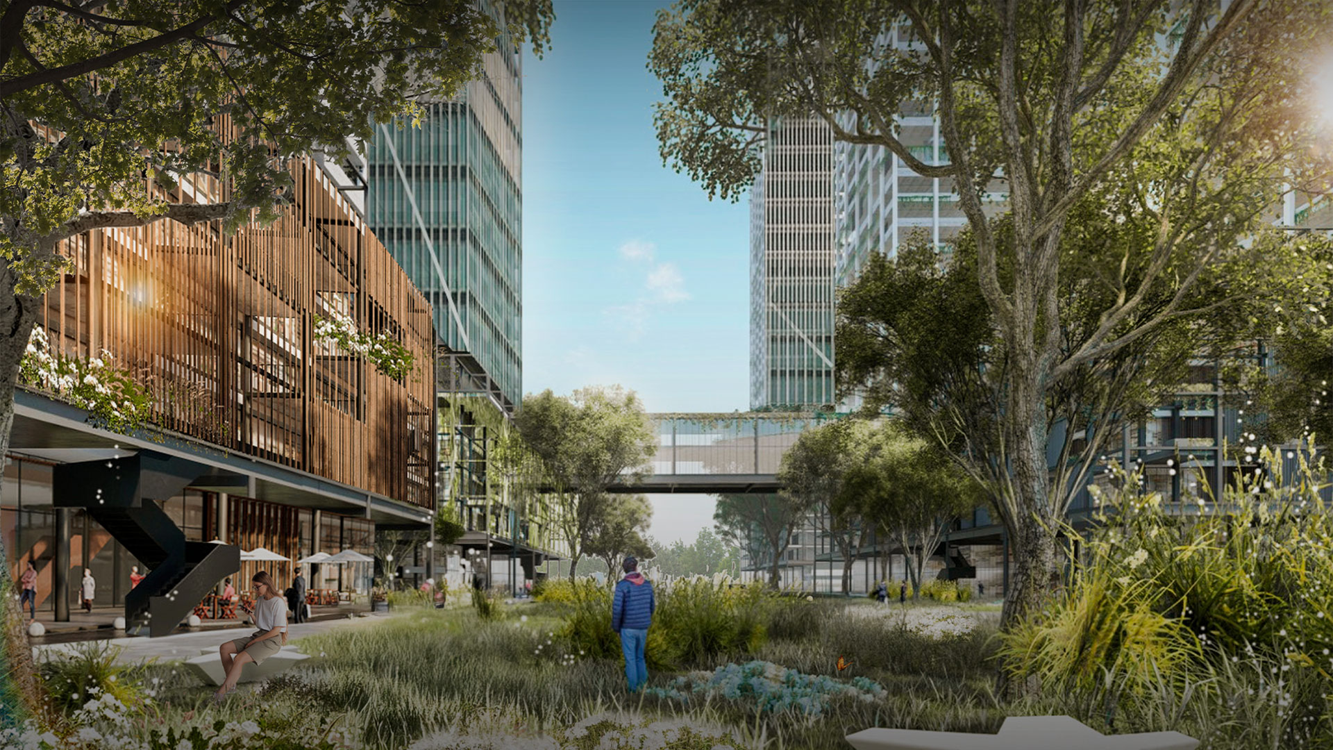 Sponge Cities: Urban Renaturalization and Climate Resilience Sponge Cities: Urban Renaturalization and Climate Resilience - Featured image