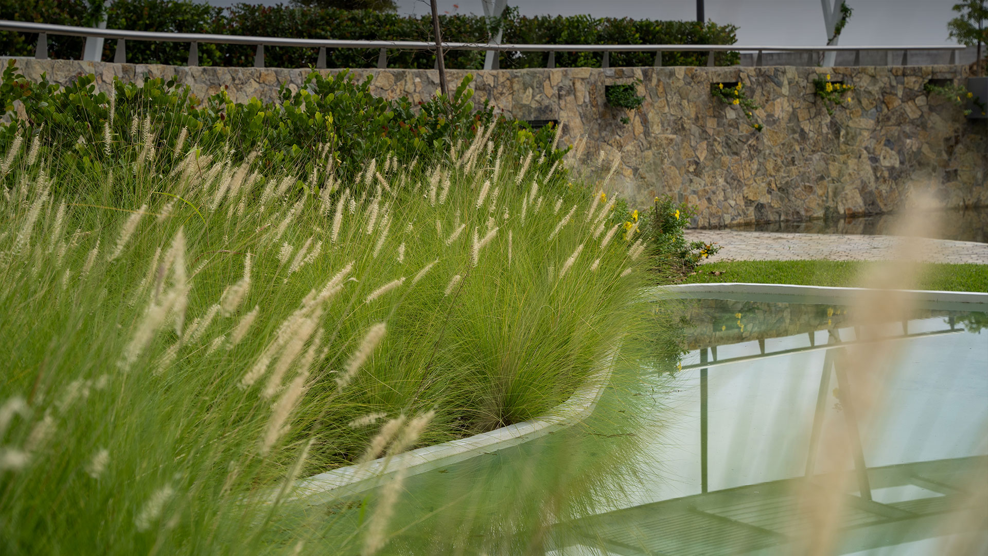 Ciudades esponja: renaturalización urbana y resiliencia climática  Ciudades esponja: renaturalización urbana y resiliencia climática  - Featured image